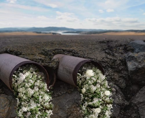 wasteless-concept-with-blossoming-bouquet